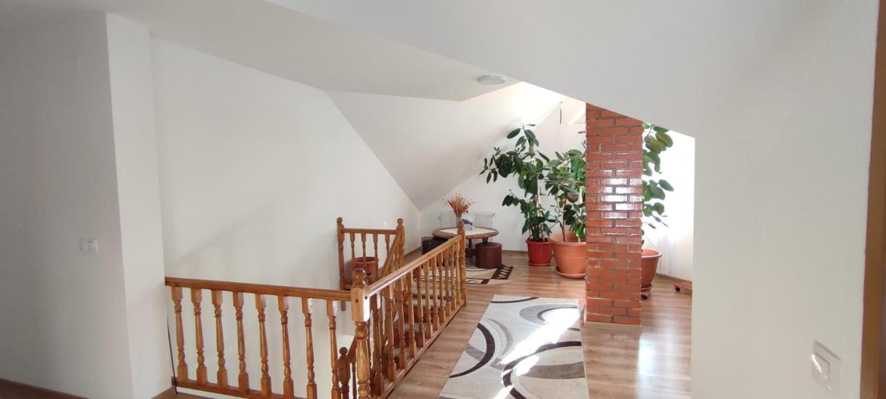 Olt-Part Vendeghaz Hotel BaileTusnad Ngoại thất bức ảnh